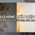 Xử Lý Chống Thấm: Nguyên Nhân & Giải Pháp Triệt Để Cho Trần, Tường Nhà Mùa Mưa