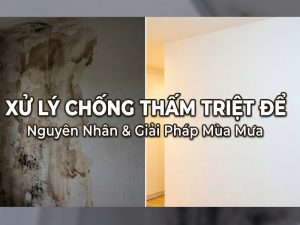 Activities in Cyprus